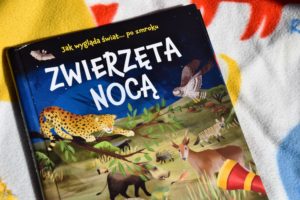 Read more about the article Zwierzęta nocą, czyli nocne safari z latarką w ręku